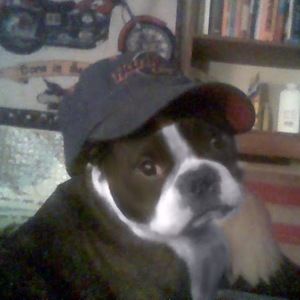 Meet your Posher, Larae